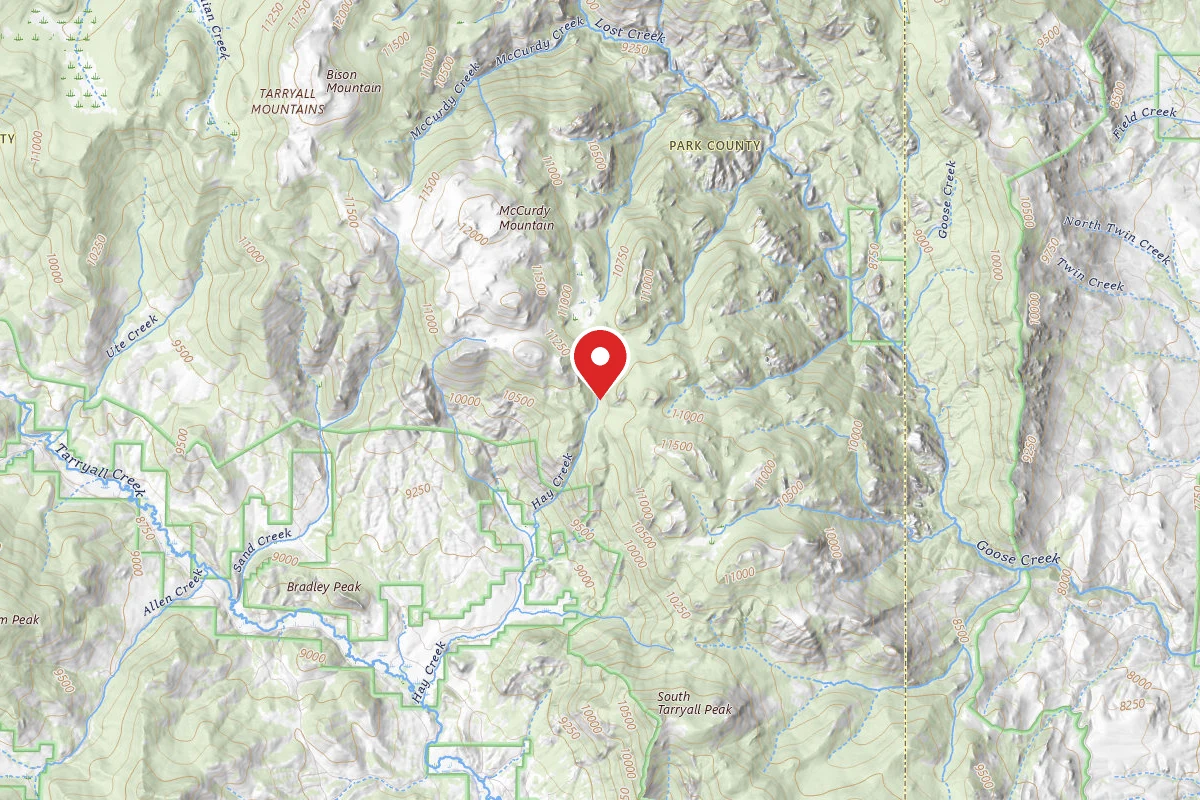 Dispersed Site near 39.1971, -105.4502