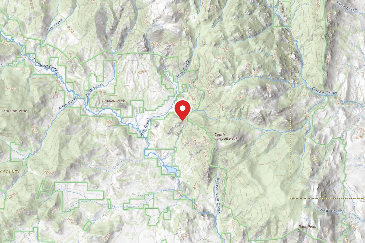 Dispersed Site near 39.1634, -105.4586