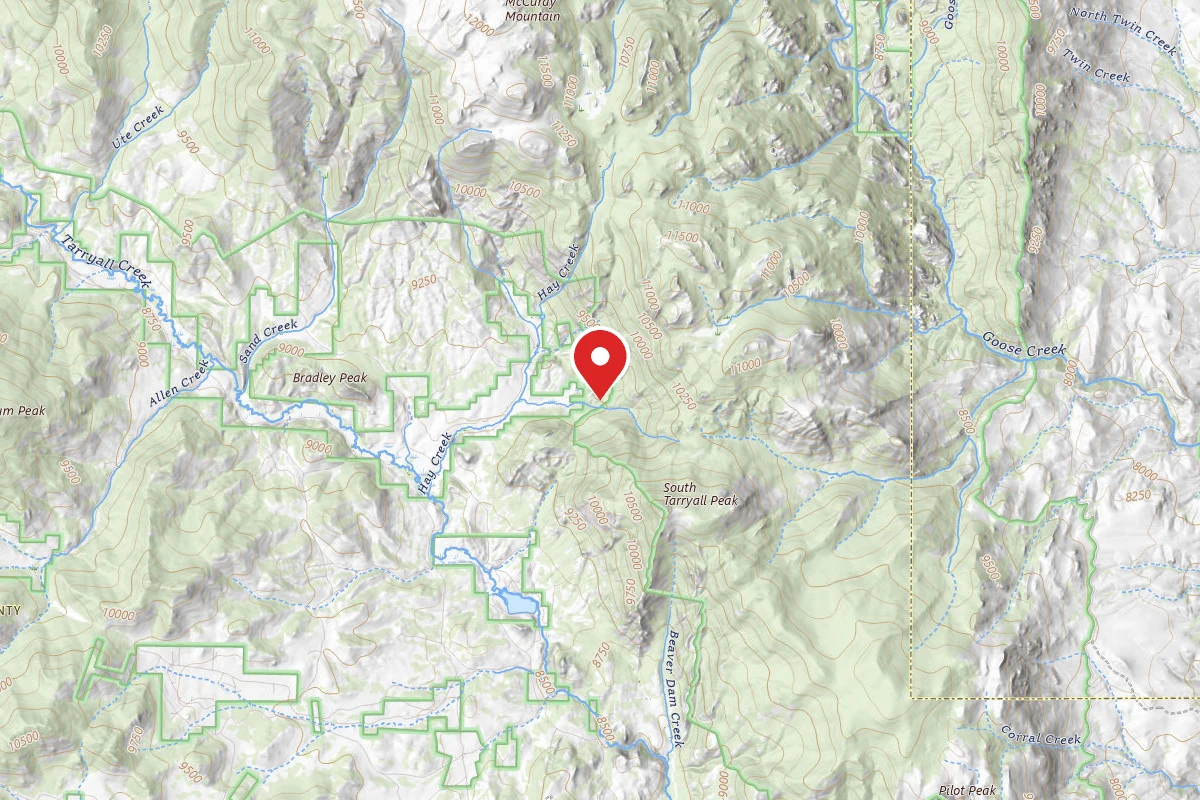Dispersed Site near 39.1693, -105.4513