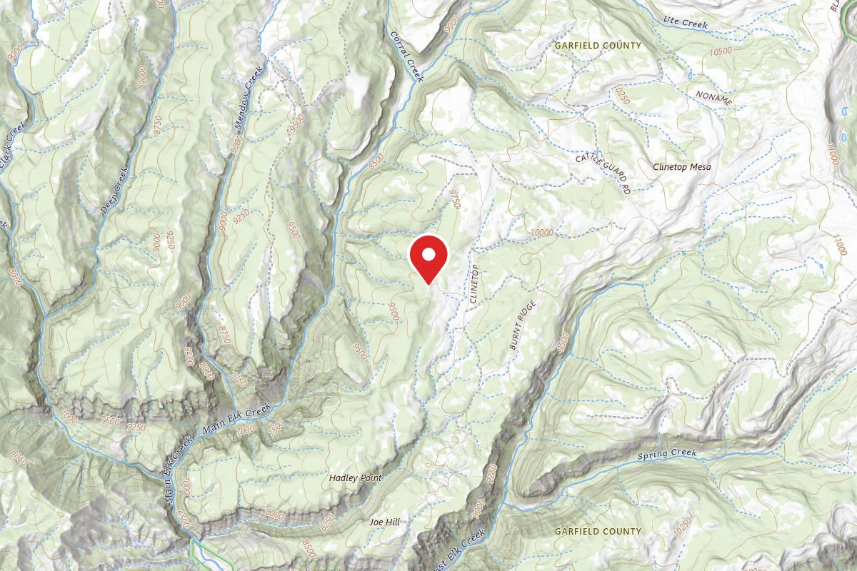 Dispersed Site near 39.7300, -107.5226