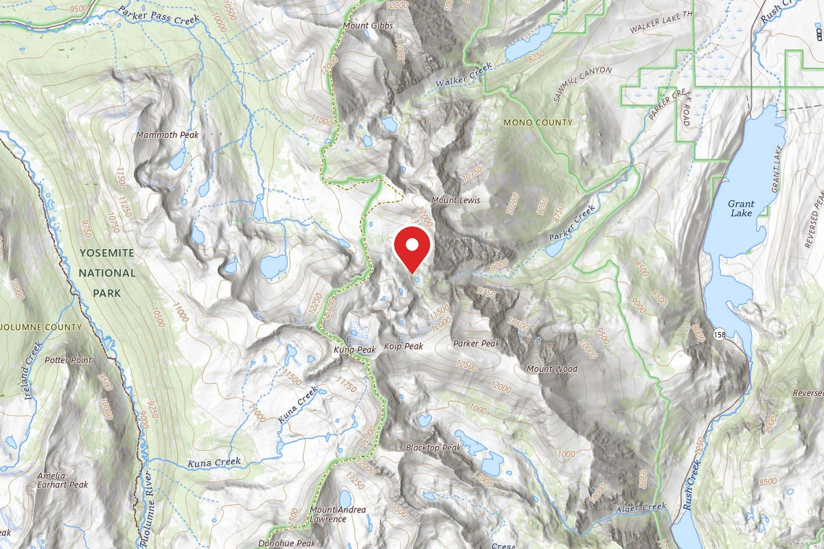 Dispersed Site near 37.8289, -119.1942