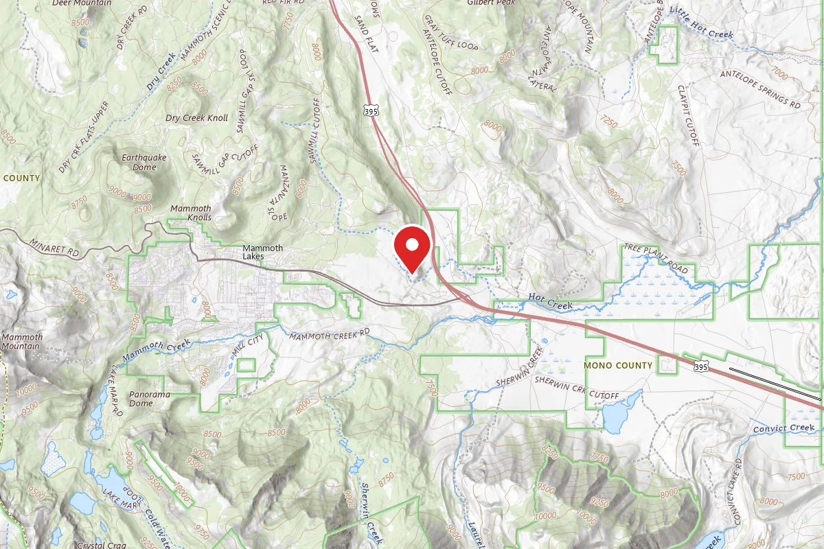 Dispersed Site near 37.6458, -118.9295