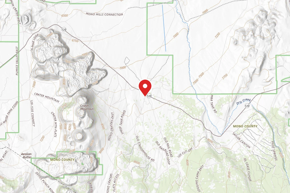 Dispersed Site near 37.8861, -118.9606
