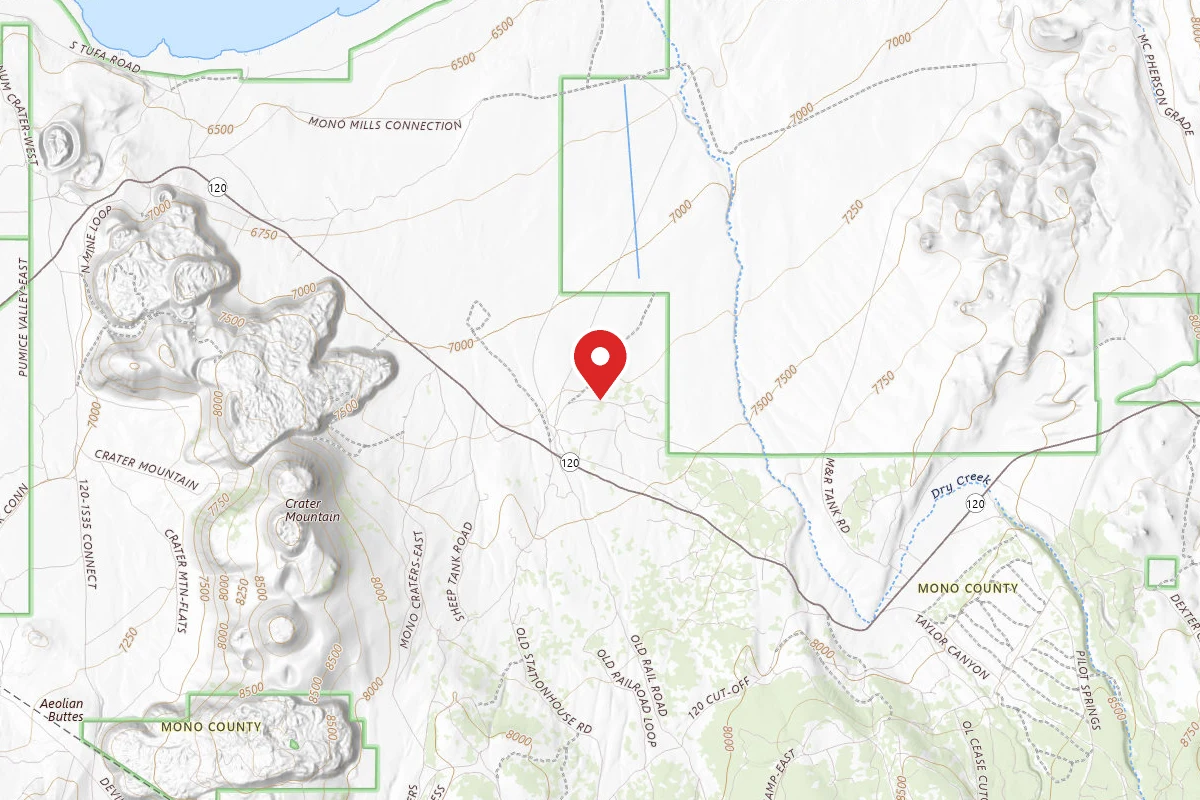 Dispersed Site near 37.8948, -118.9526
