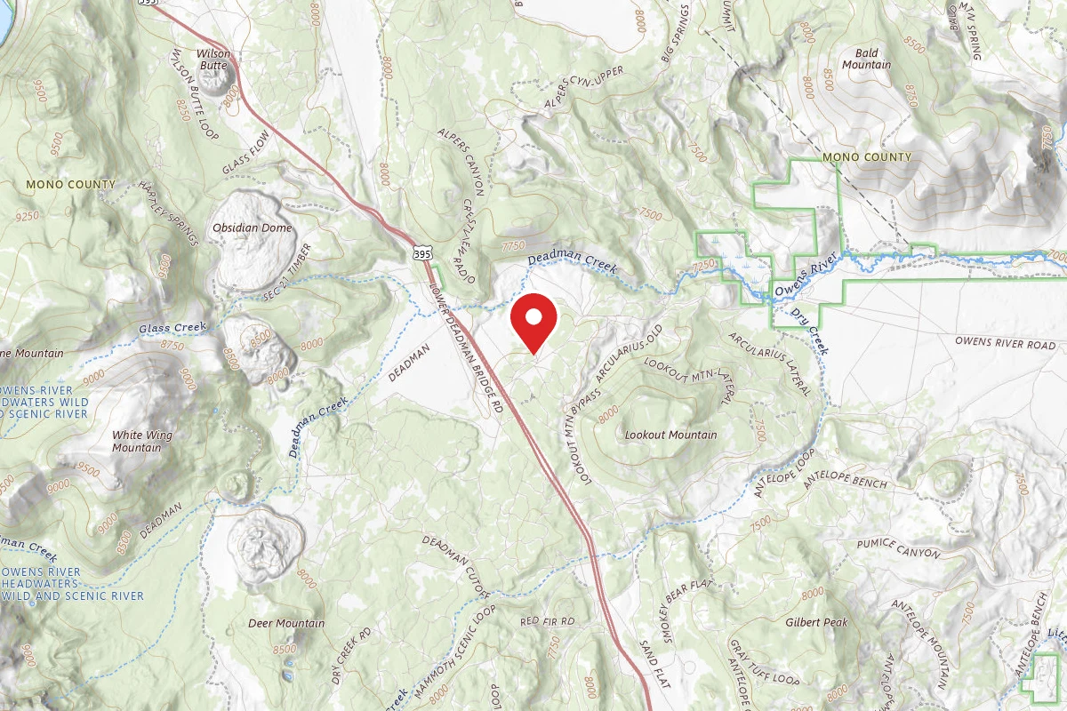 Dispersed Site near 37.7406, -118.9644