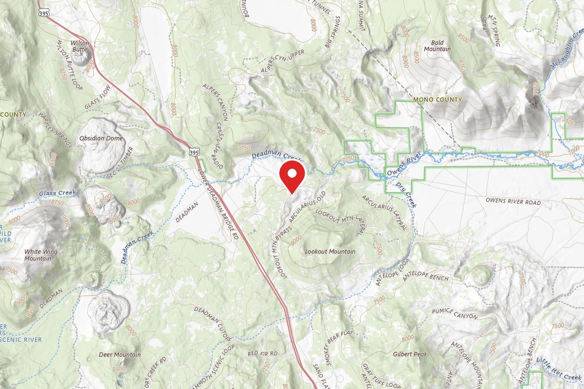 Dispersed Site near 37.7444, -118.9514