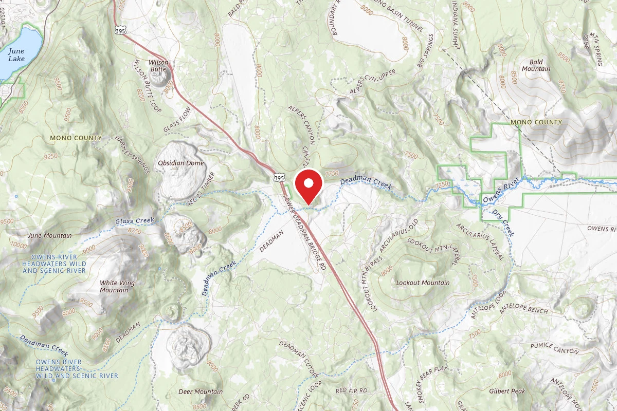 Dispersed Site near 37.7489, -118.9761