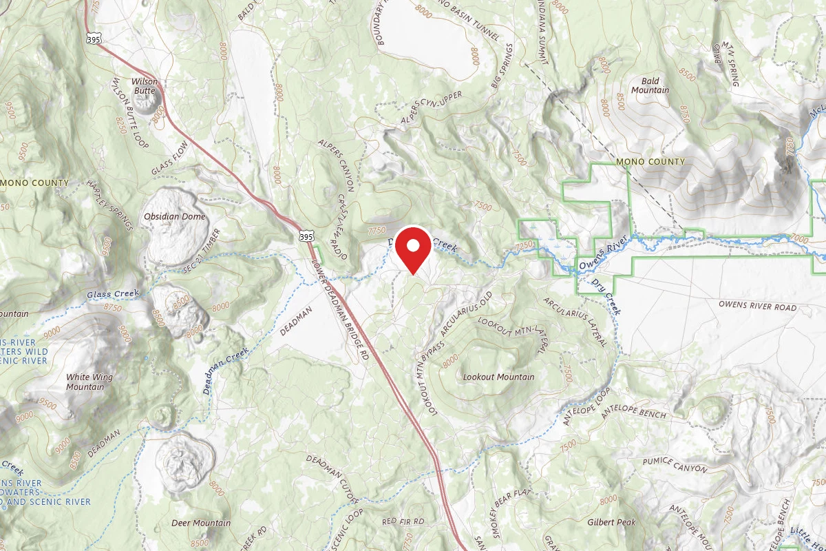Dispersed Site near 37.7484, -118.9594