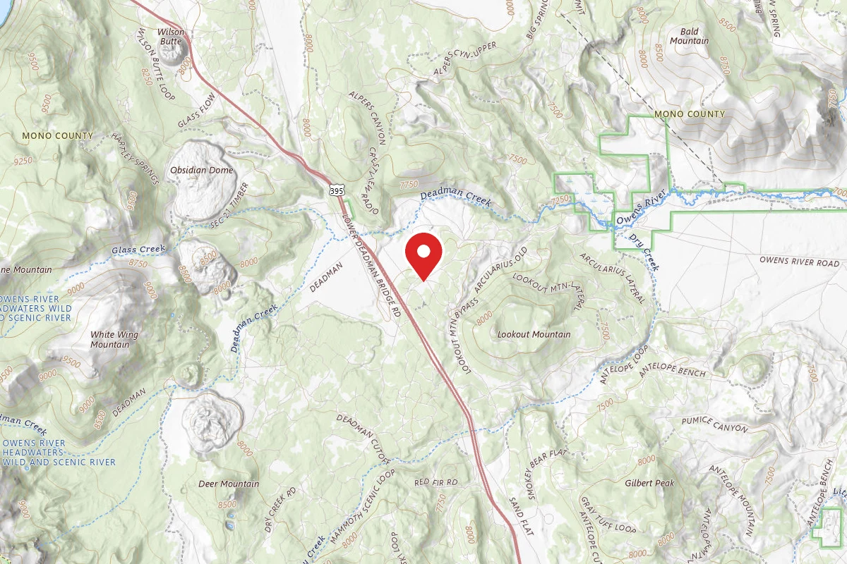 Dispersed Site near 37.7385, -118.9648