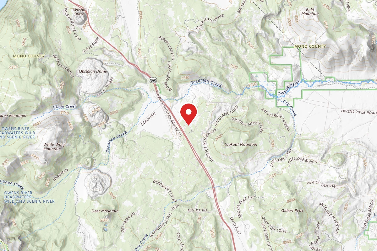 Dispersed Site near 37.7366, -118.9664