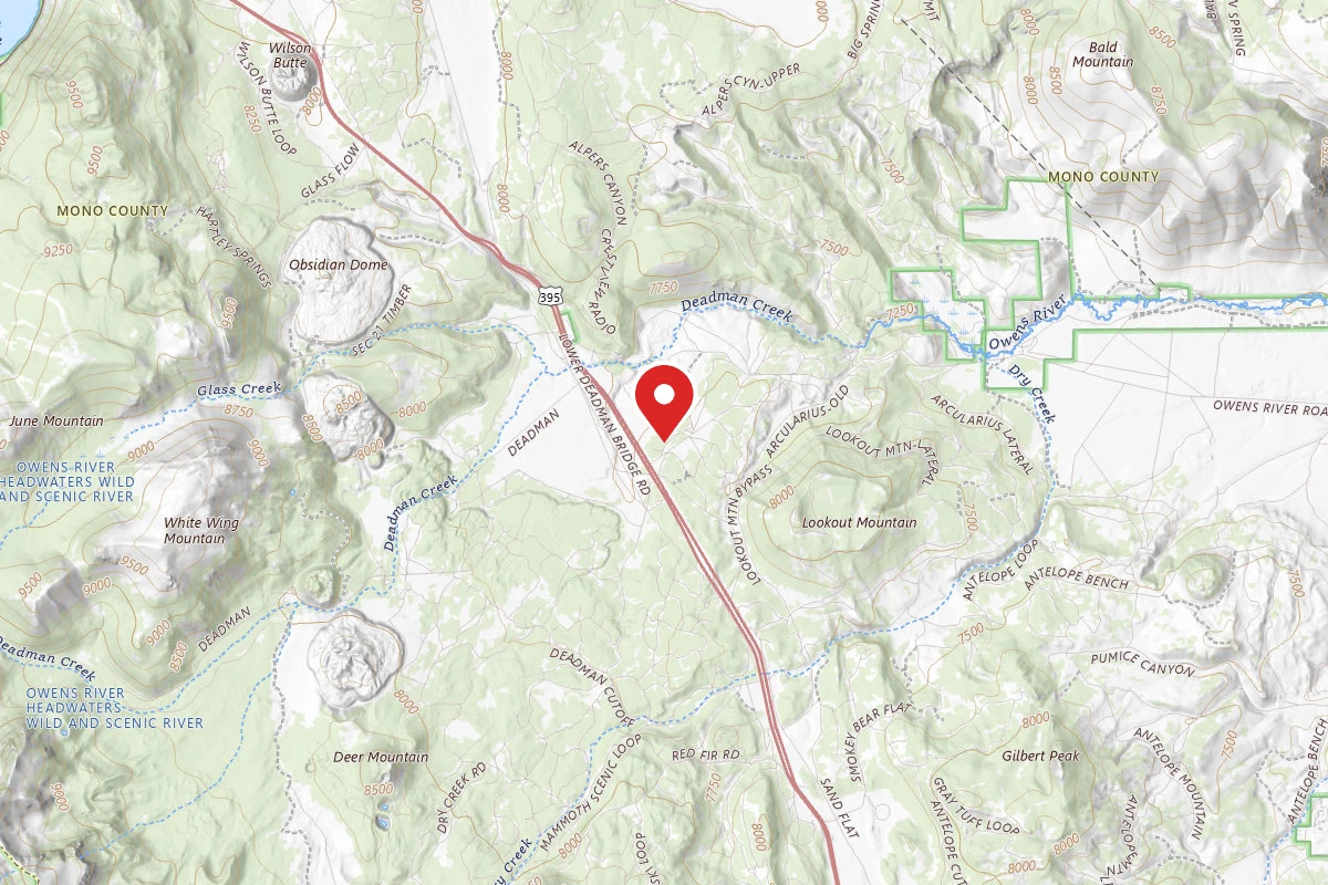 Dispersed Site near 37.7383, -118.9682