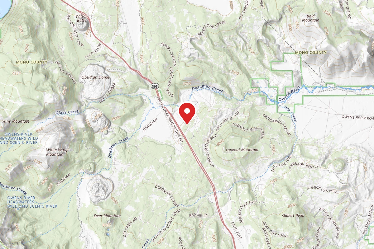 Dispersed Site near 37.7395, -118.9682