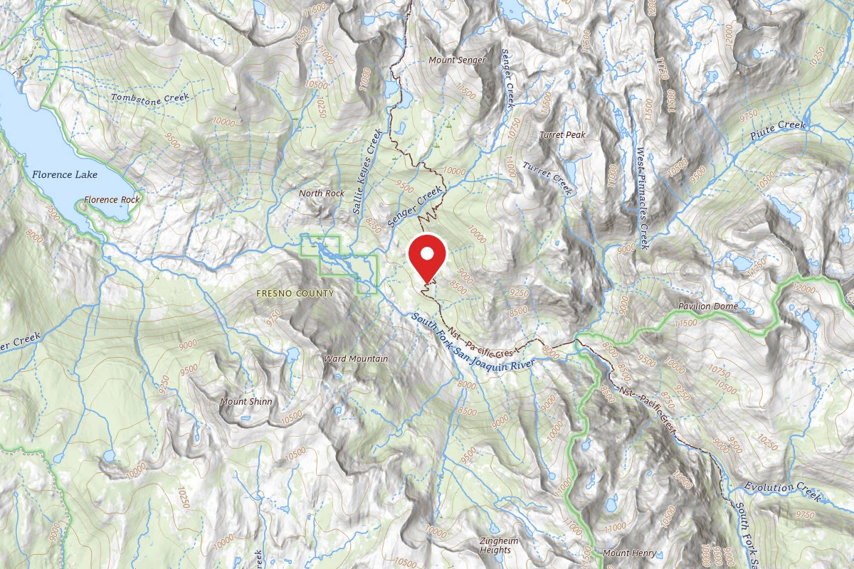 Dispersed Site near 37.2358, -118.8691