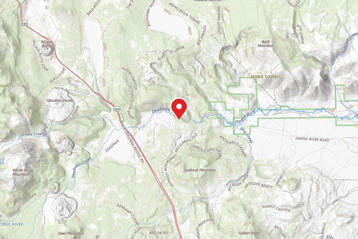 Dispersed Site near 37.7515, -118.9500