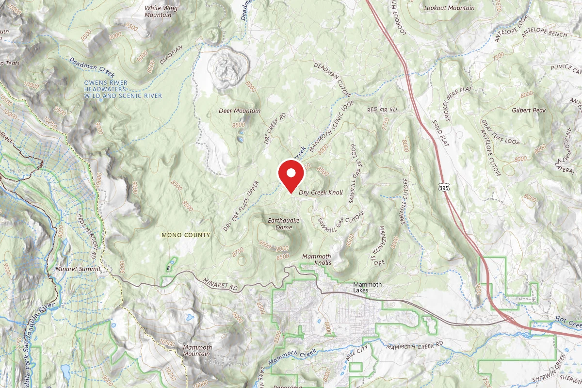 Dispersed Site near 37.6764, -118.9940