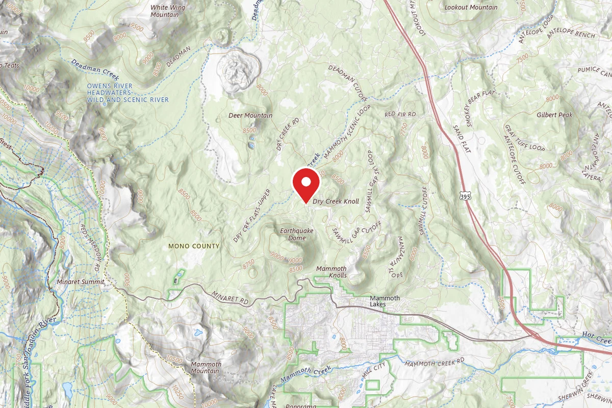 Dispersed Site near 37.6761, -118.9934