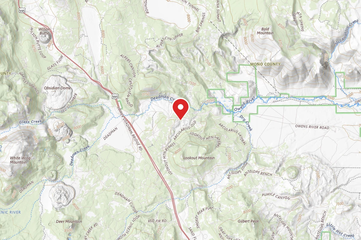 Dispersed Site near 37.7457, -118.9485