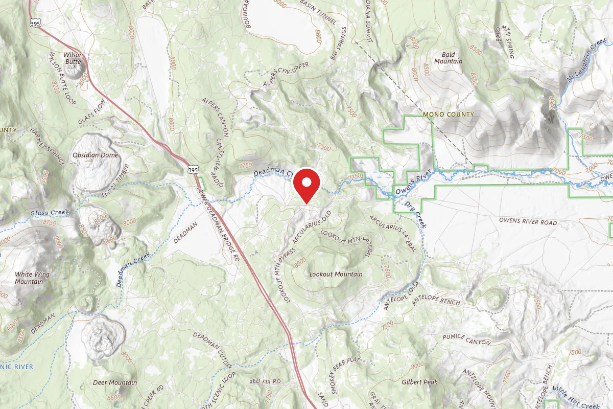 Dispersed Site near 37.7469, -118.9478
