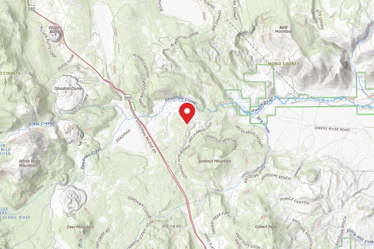 Dispersed Site near 37.7443, -118.9532