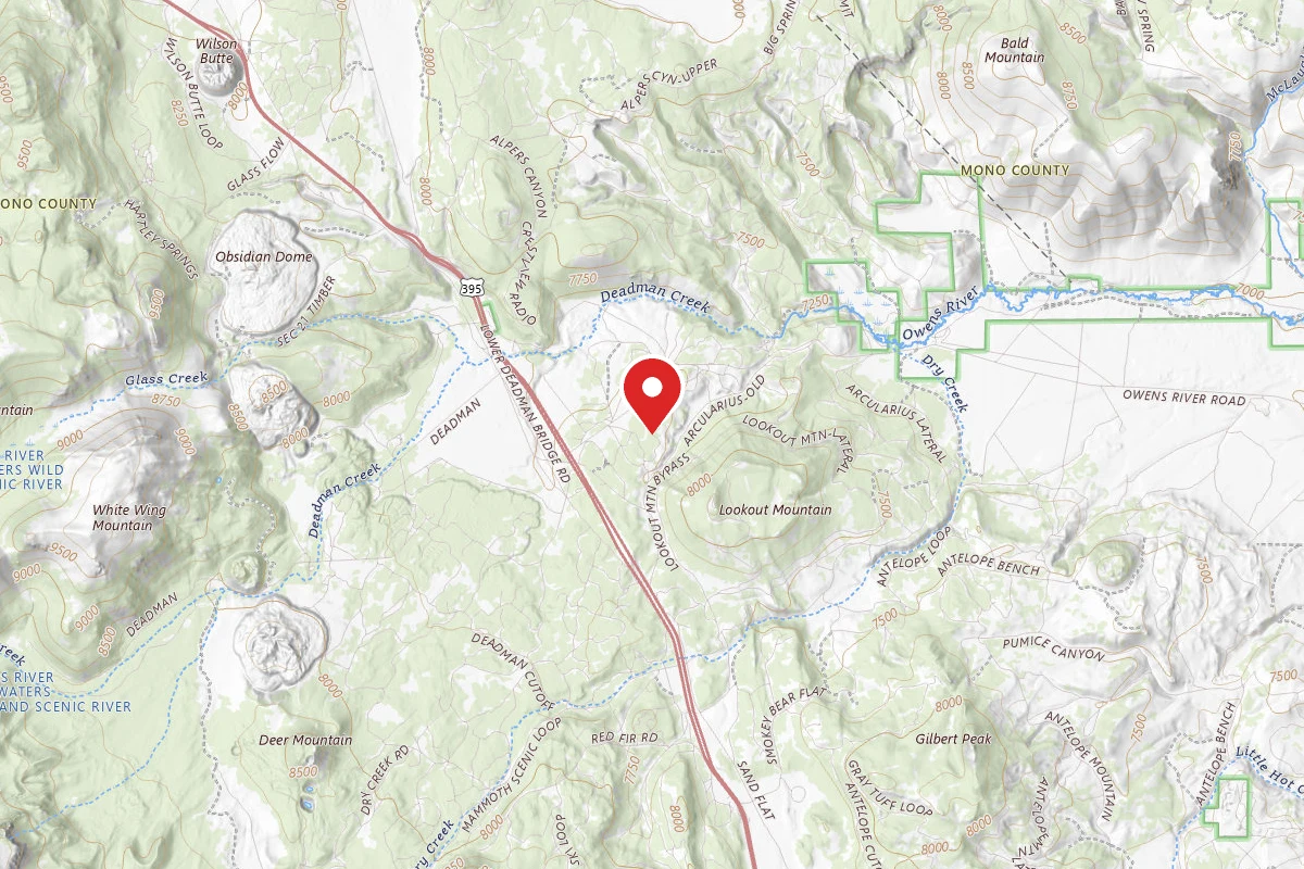 Dispersed Site near 37.7378, -118.9573