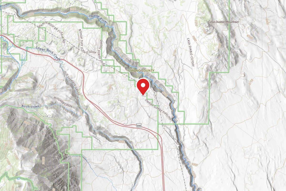Dispersed Site near 37.5375, -118.5966