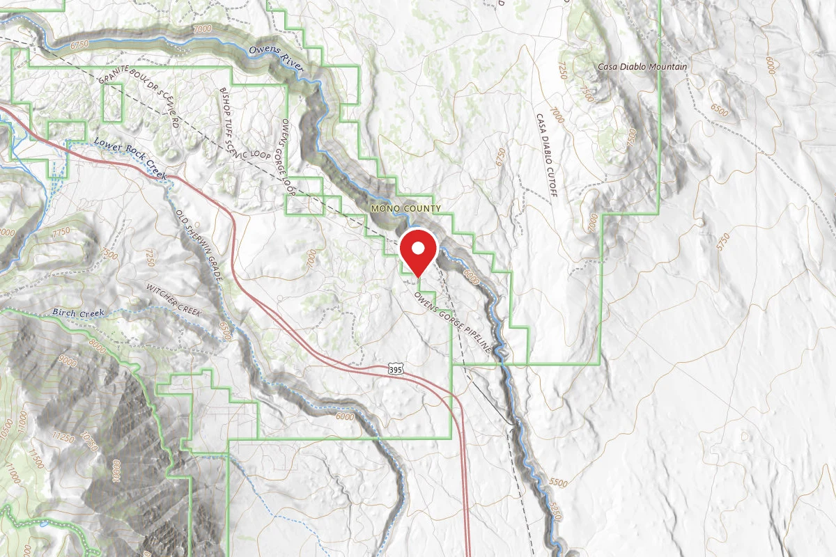 Dispersed Site near 37.5380, -118.5941