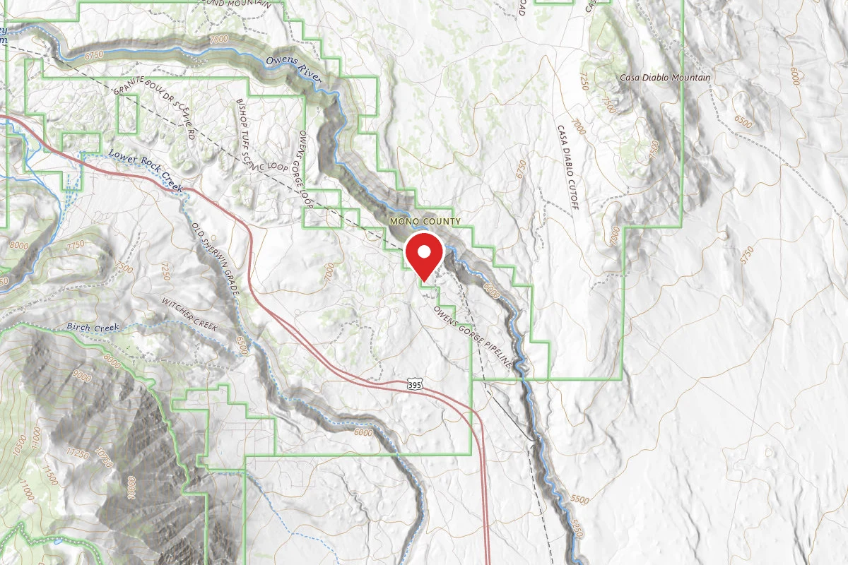 Dispersed Site near 37.5400, -118.5975