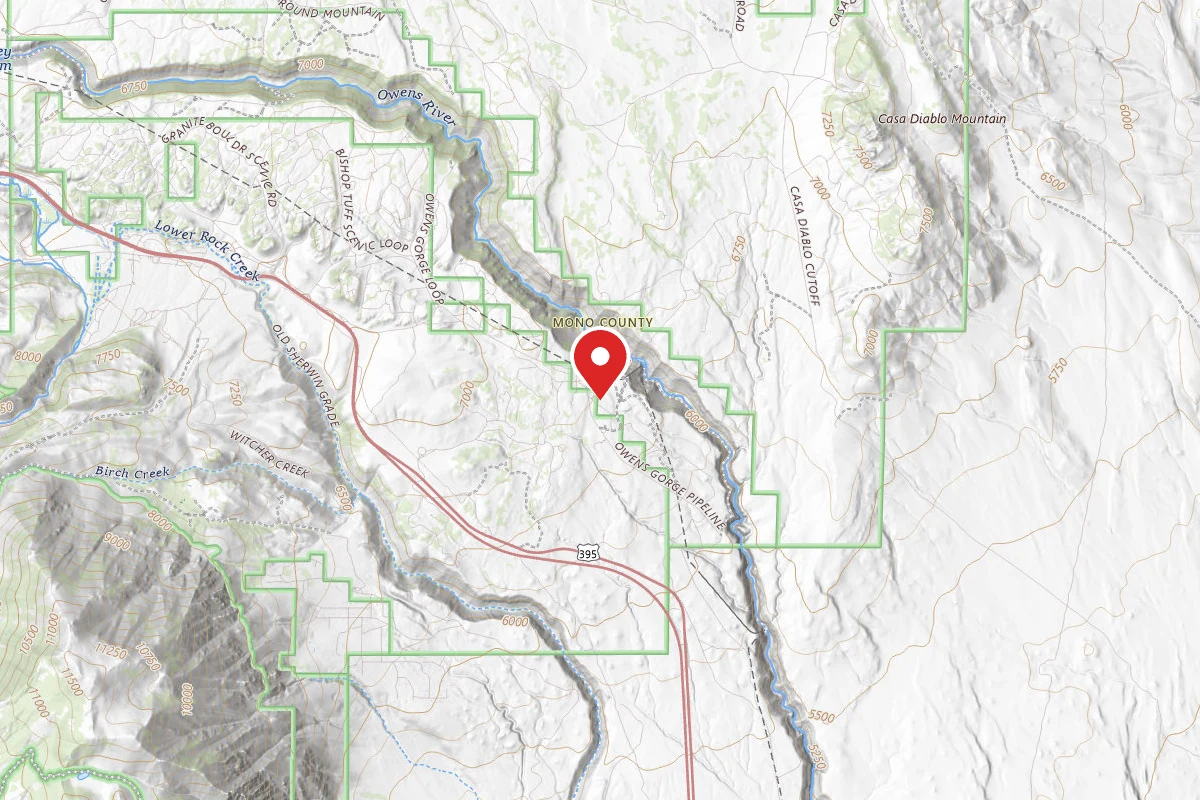 Dispersed Site near 37.5411, -118.5977