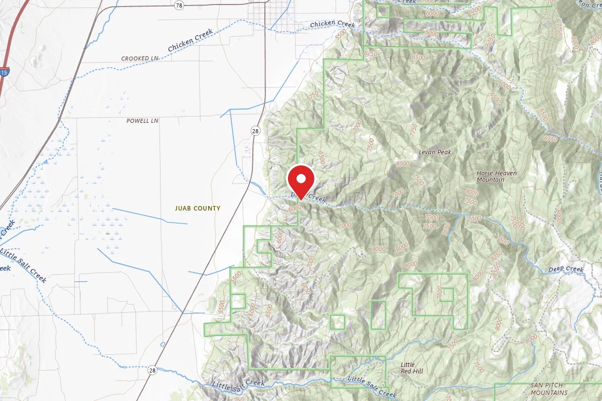 Dispersed Site near 39.5065, -111.8515