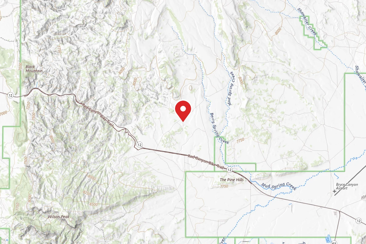 Dispersed Site near 37.7321, -112.2404