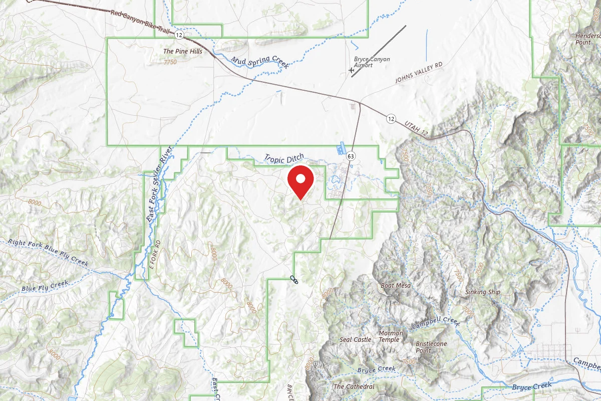 Dispersed Site near 37.6660, -112.1727