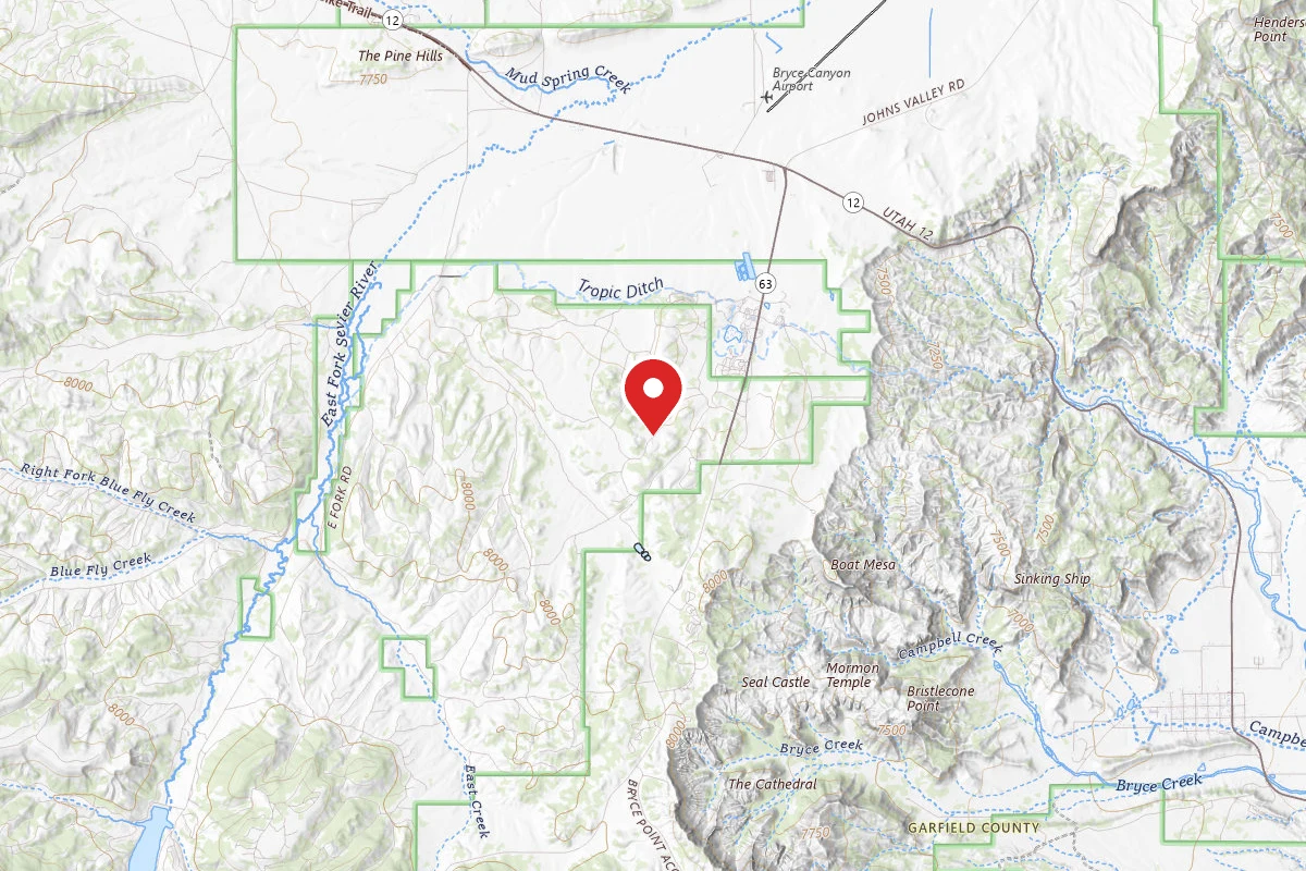 Dispersed Site near 37.6591, -112.1731
