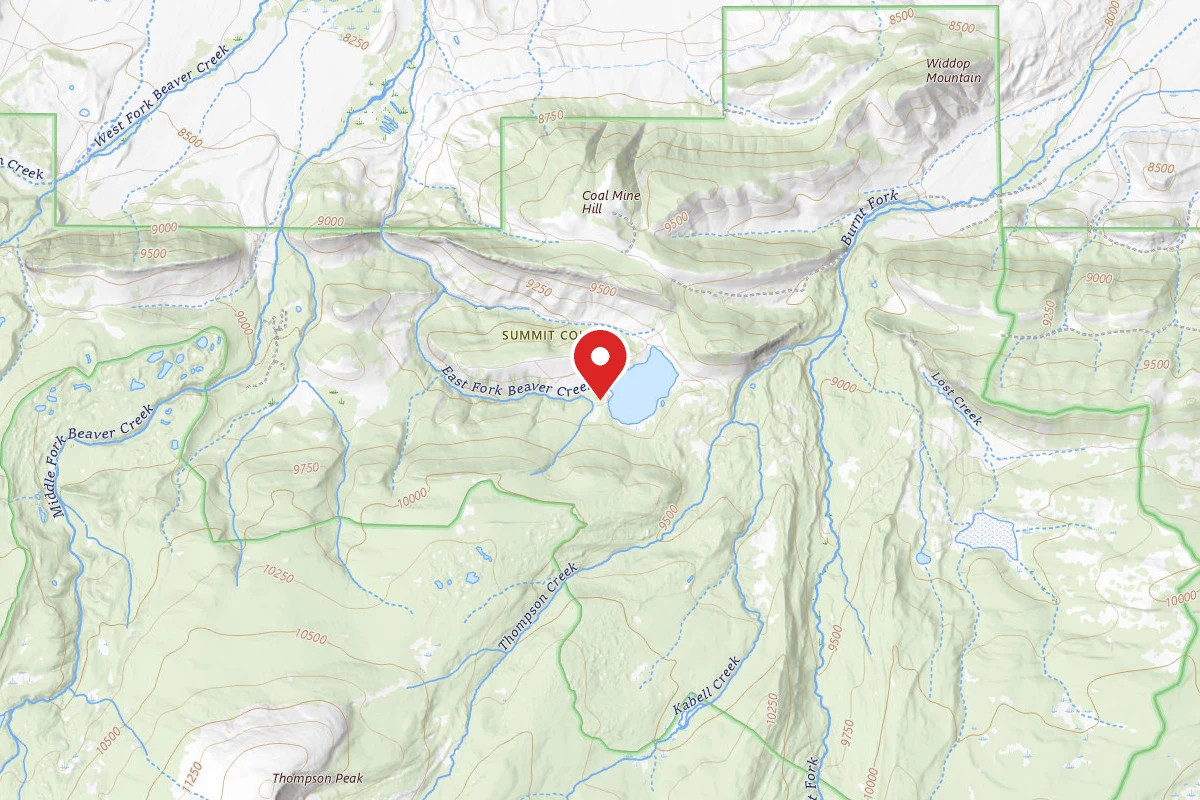Site 45/46