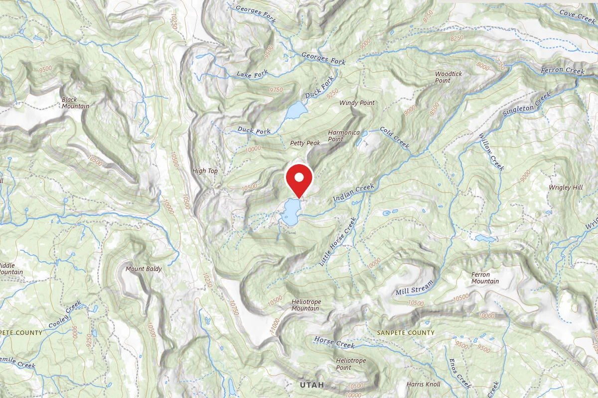 Dispersed Site near 39.1458, -111.4498