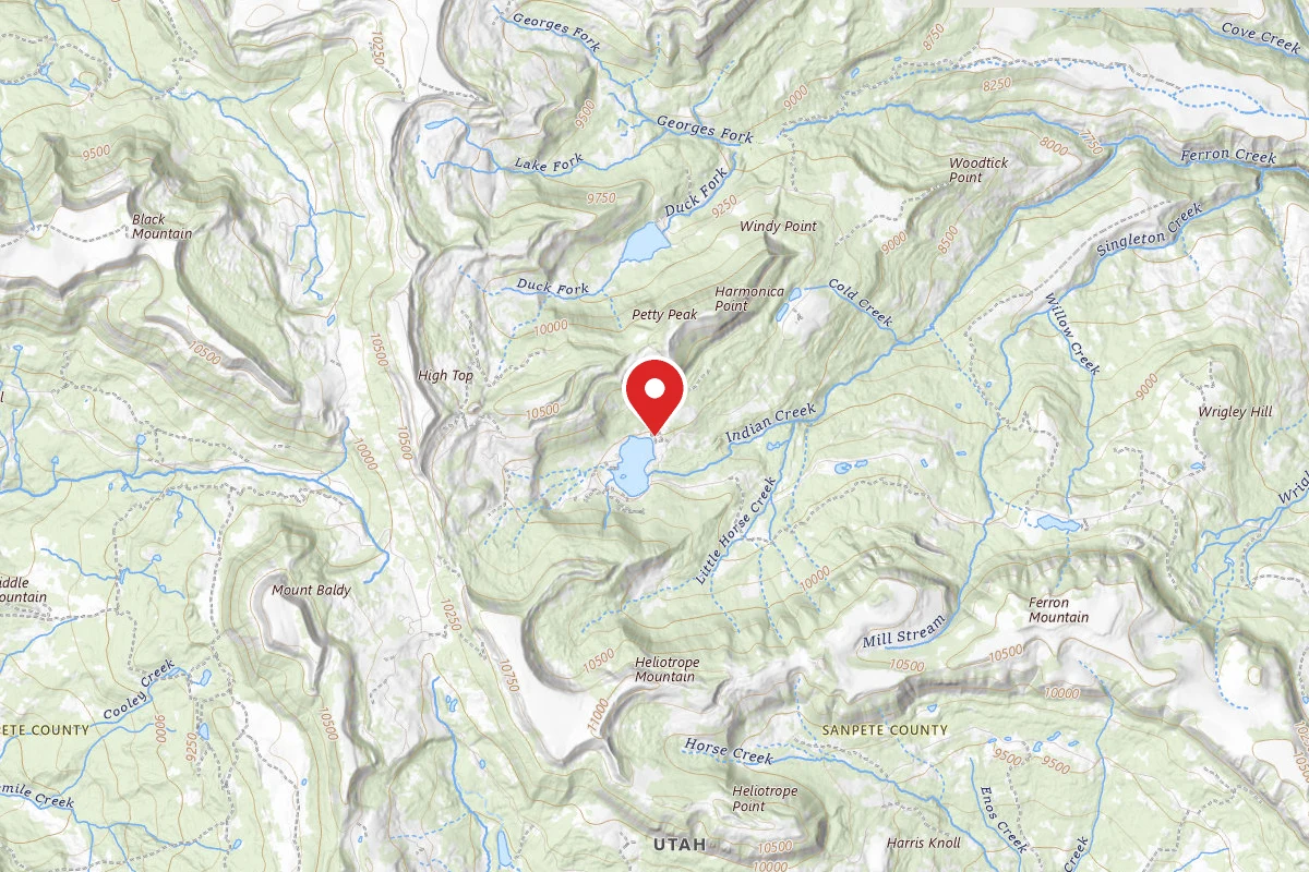 Dispersed Site near 39.1459, -111.4492
