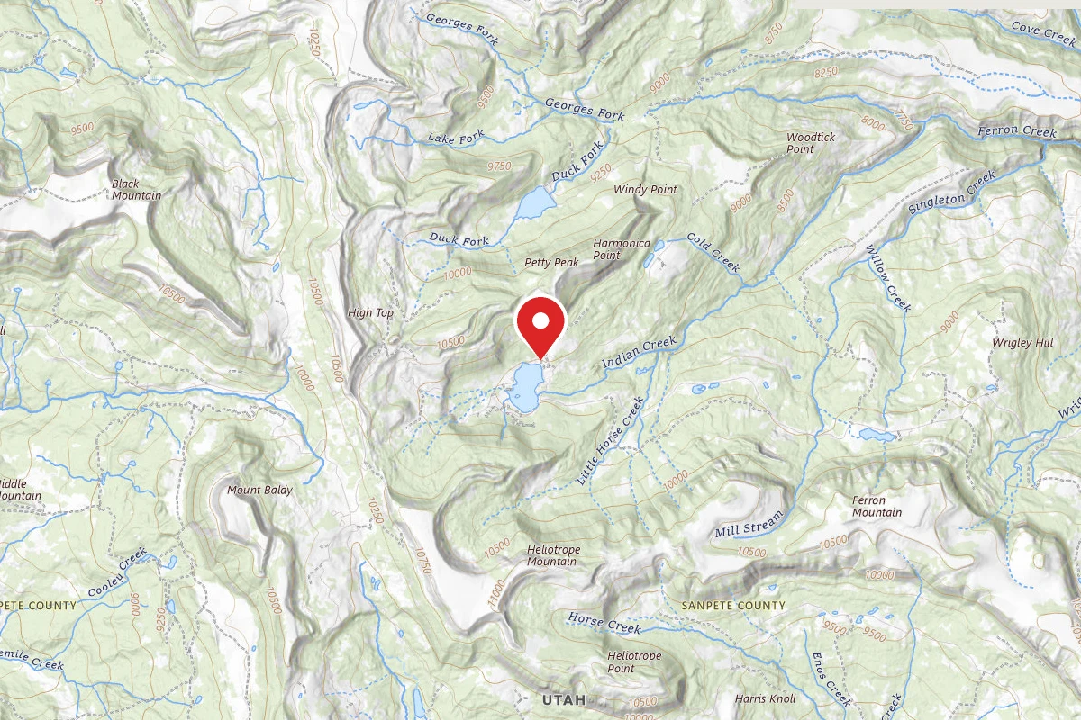 Dispersed Site near 39.1464, -111.4498