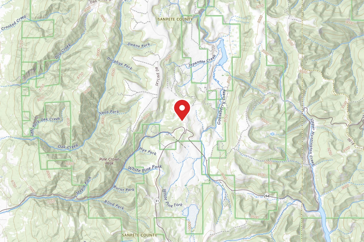 Dispersed Site near 39.6815, -111.3155