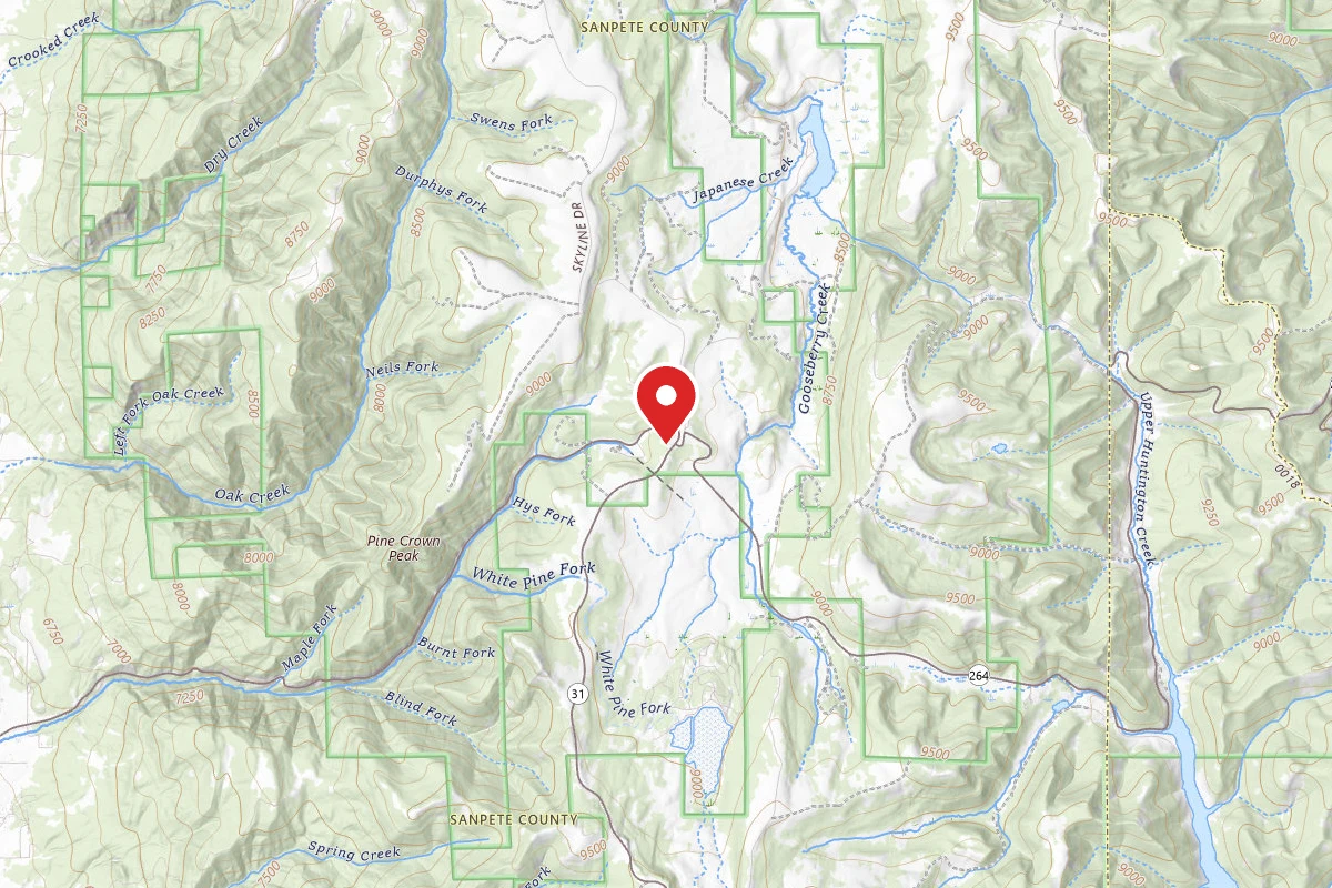 Dispersed Site near 39.6764, -111.3160