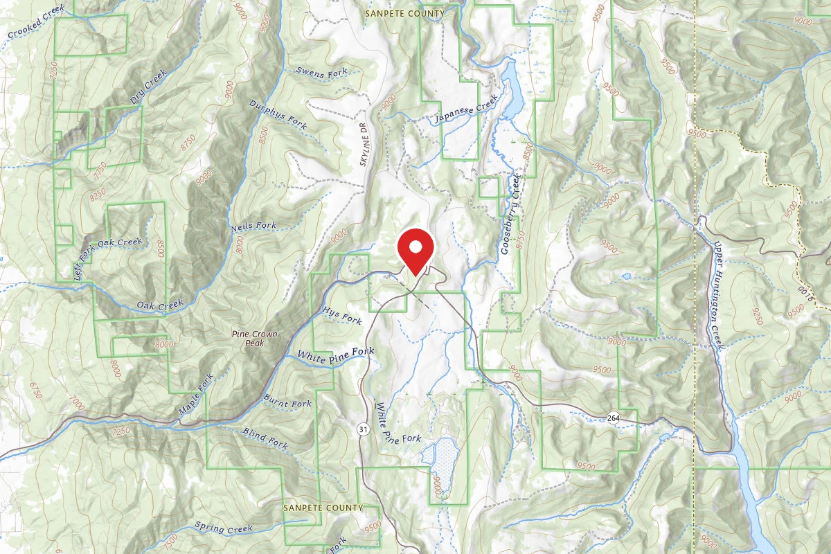 Dispersed Site near 39.6757, -111.3167