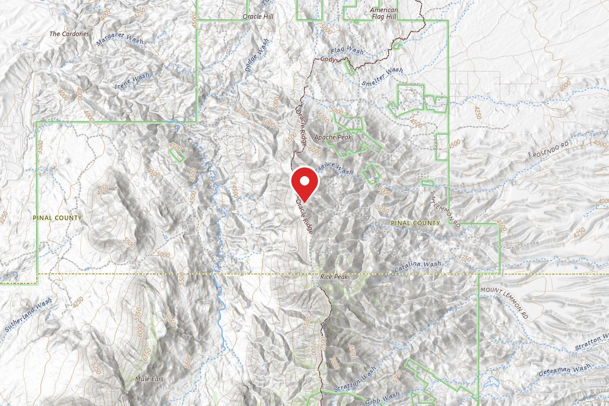 Dispersed Site near 32.5341, -110.7546