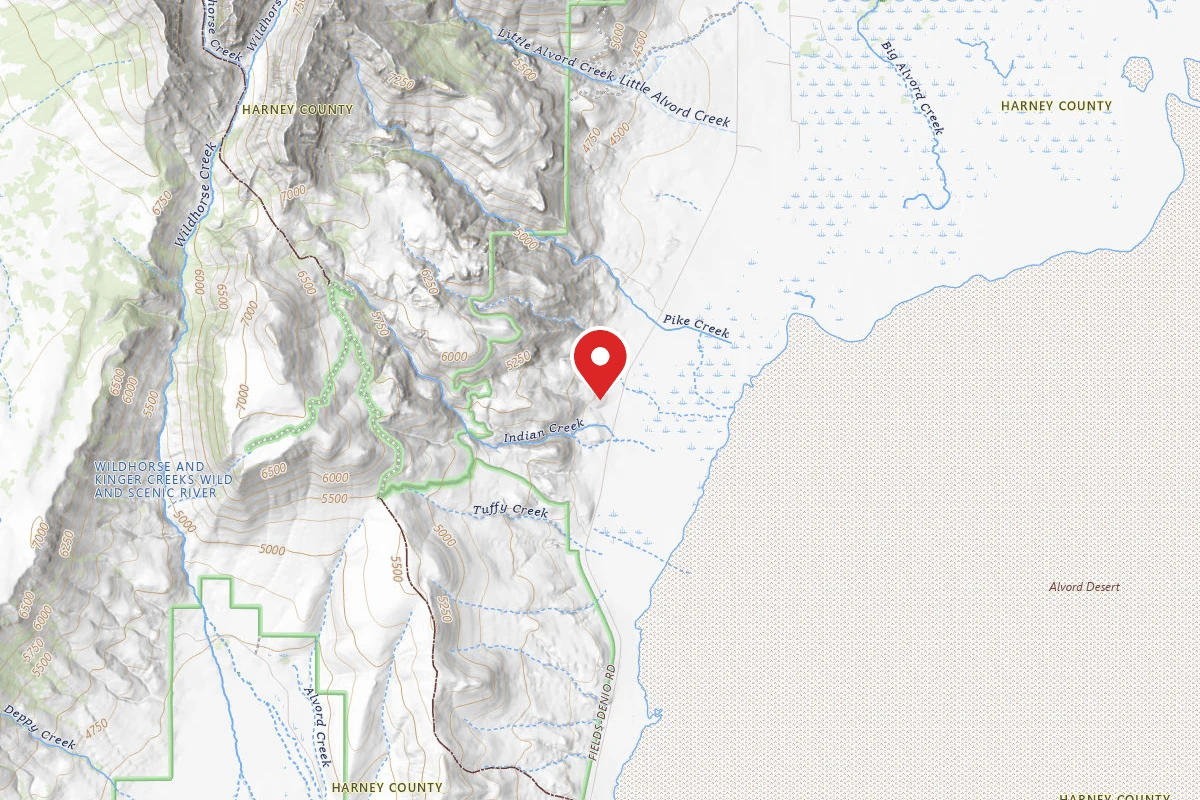 Alvord Desert