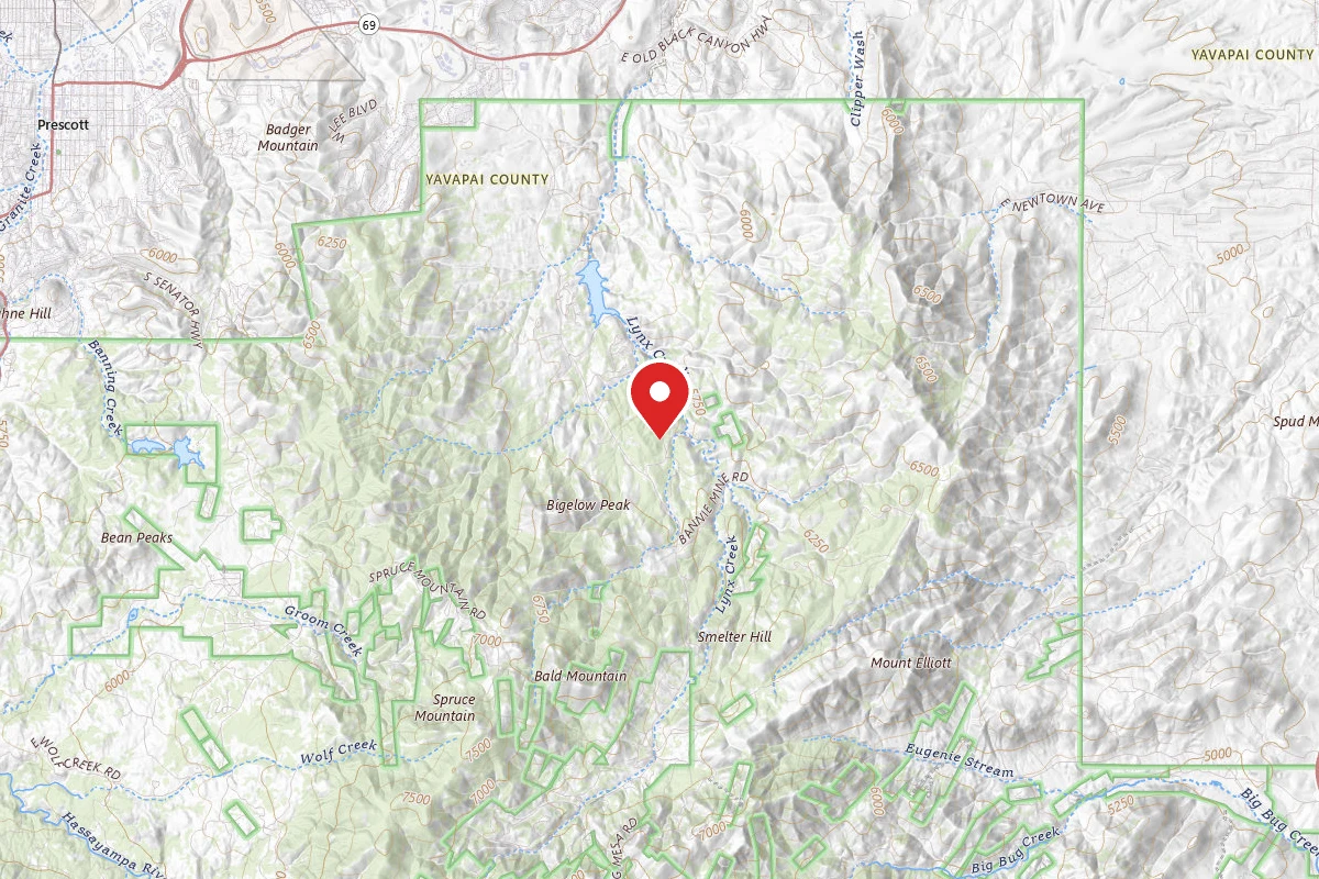 Dispersed Site near 34.4995, -112.3754