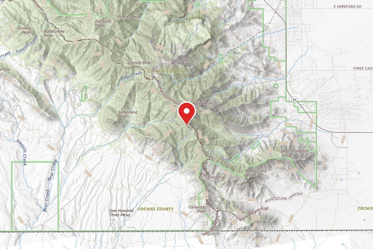 Dispersed Site near 31.3837, -110.2959