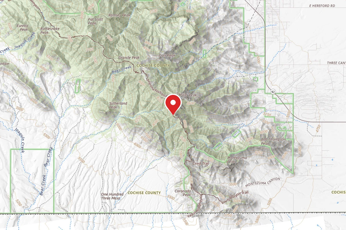 Dispersed Site near 31.3836, -110.2957
