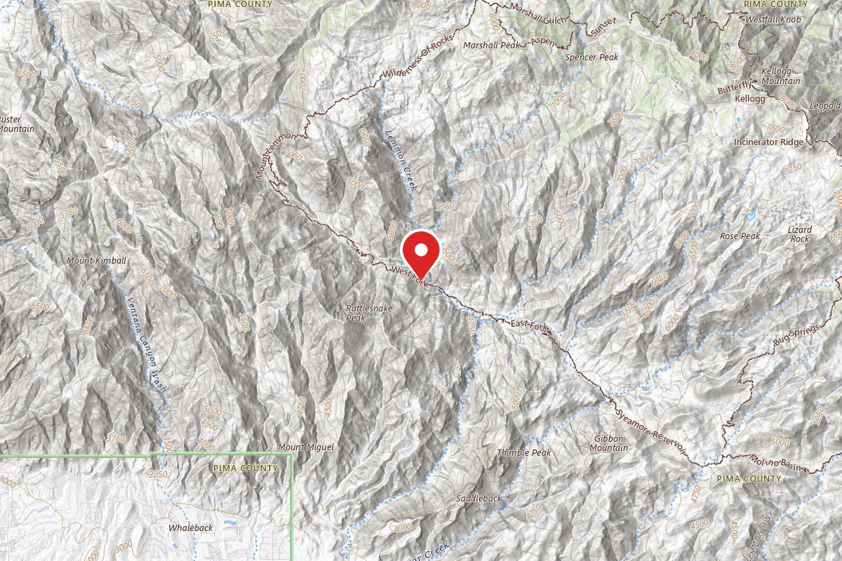 Dispersed Site near 32.3739, -110.7919