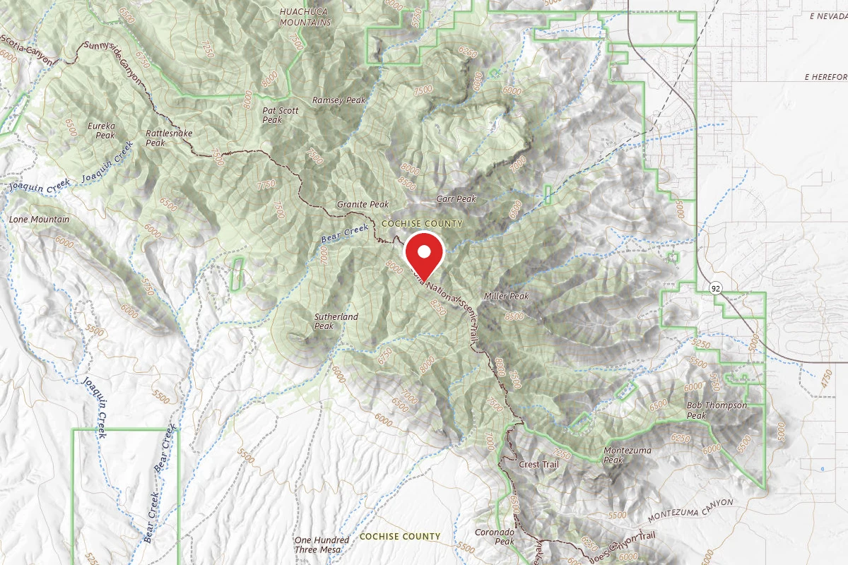 Dispersed Site near 31.3965, -110.3070