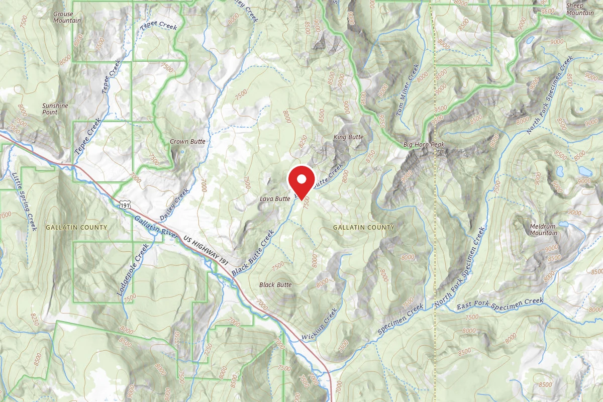 WF1 - Yellowstone NP back country campsite