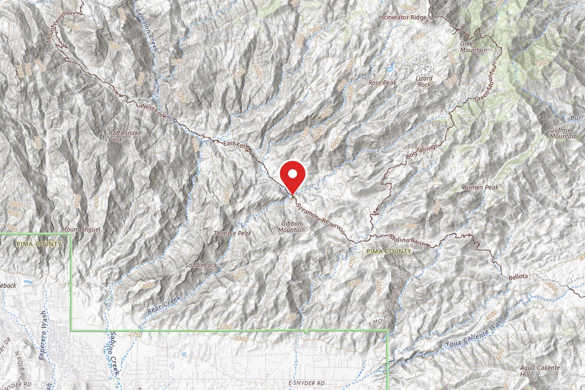 Dispersed Site near 32.3497, -110.7457