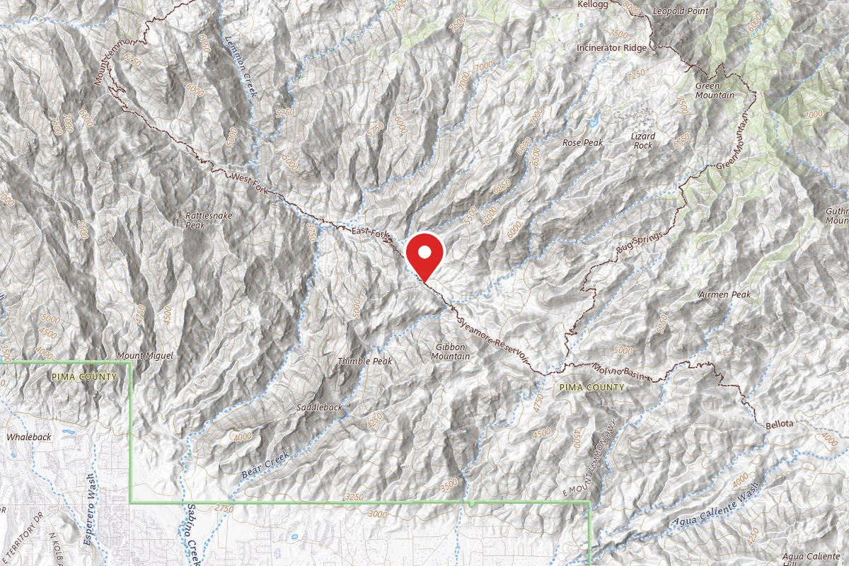 Dispersed Site near 32.3543, -110.7523
