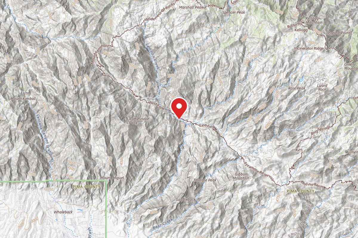 Dispersed Site near 32.3681, -110.7816